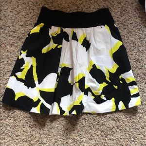 Express design studio skirt